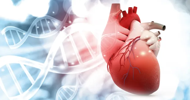 Cardiovascular Genetic