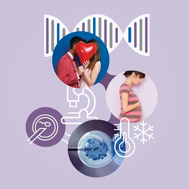 PGT-A. Fulfil the dream. Rise up the chance of pregnancy.